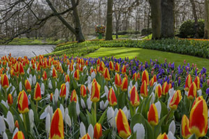 keukenhof