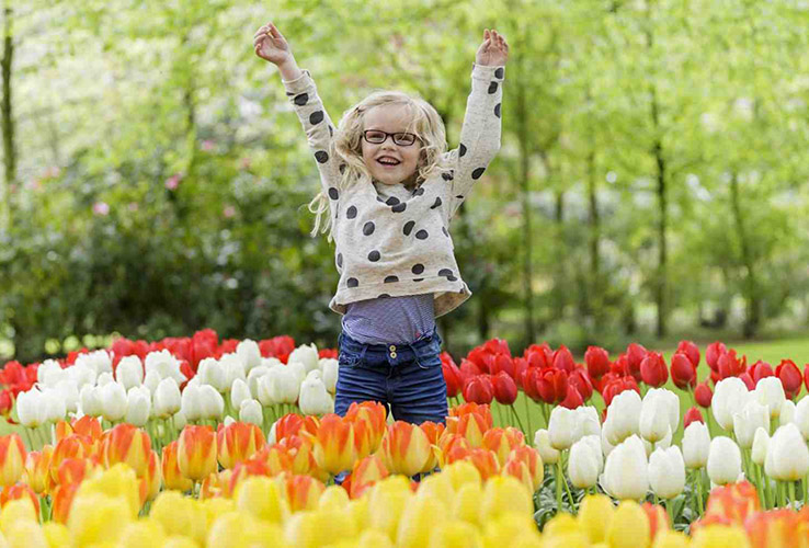 Keukenhof